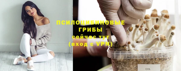 стафф Алзамай