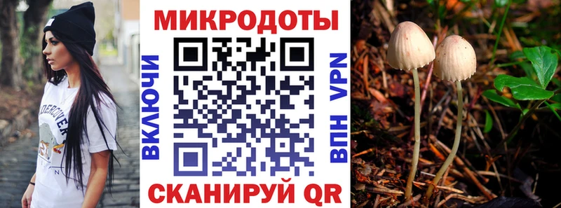 закладки Ижевск Псилоцибиновые грибы мицелий